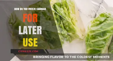 Easy Steps to Freeze Cabbage for Long-Term Storage and Freshness