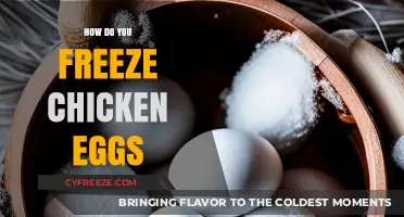 The Ultimate Guide to Freezing Chicken Eggs for Long-Term Storage
