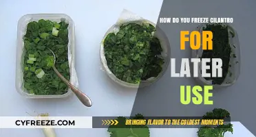 Easy Ways to Freeze Cilantro for Fresh Flavor Anytime