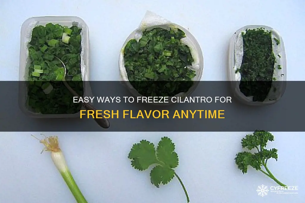 how do you freeze cilantro for later use