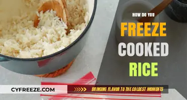 Mastering the Art of Freezing Cooked Rice: A Complete Guide