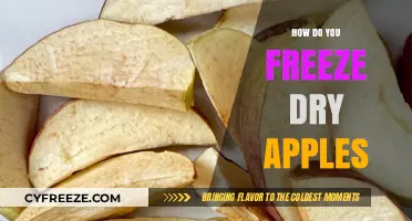 Preserving Crispness: The Ultimate Guide to Freeze-Drying Apples