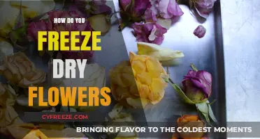 Preserving Beauty: The Art of Freeze-Drying Flowers