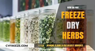 Preserve Freshness: The Ultimate Guide to Freeze-Drying Herbs