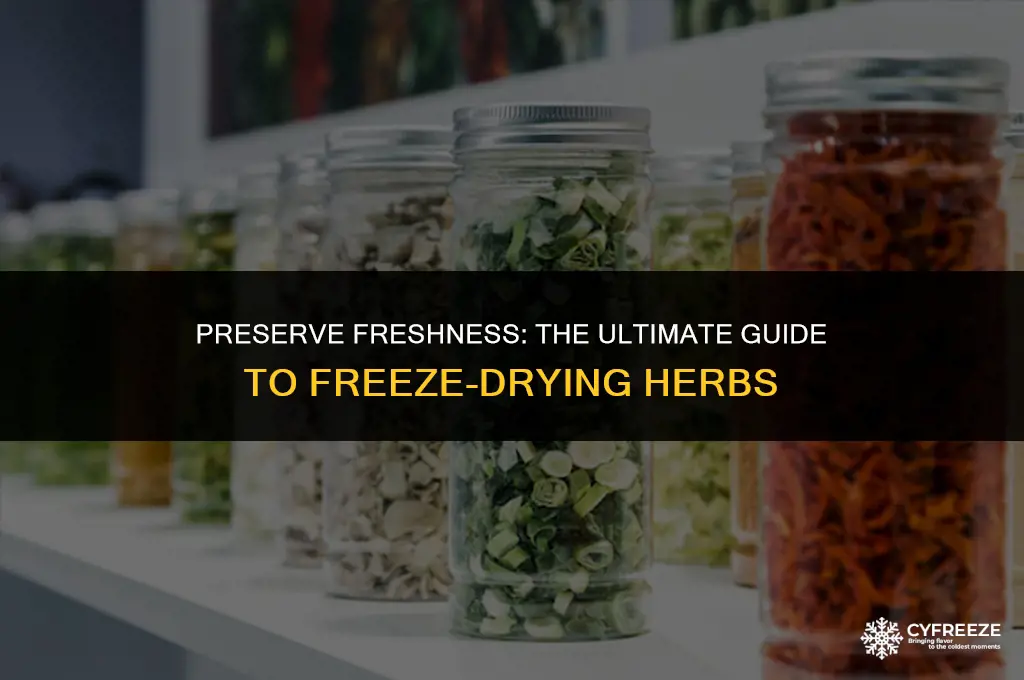 how do you freeze dry herbs