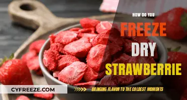 Preserve the Sweetness: A Guide to Freeze-Drying Strawberries