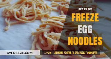 Mastering the Art of Freezing Egg Noodles for Perfect Meals
