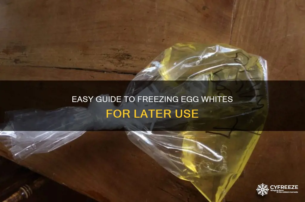 how do you freeze egg whites