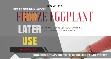 Easy Guide to Freezing Eggplant for Freshness and Future Meals