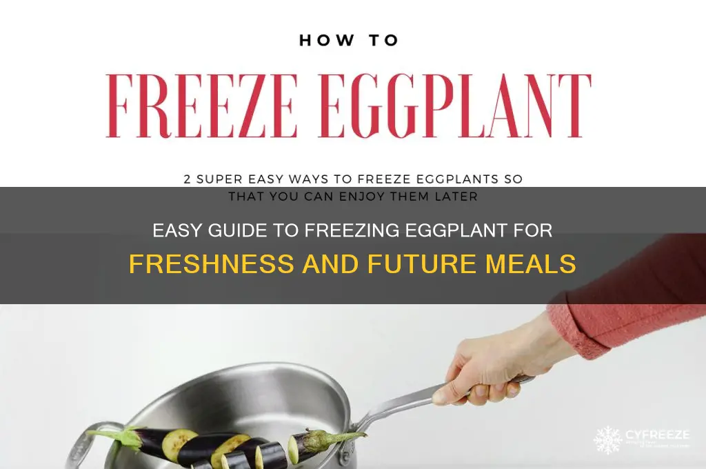 how do you freeze eggplant for later use