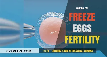 Preserving Fertility: A Comprehensive Guide to Freezing Your Eggs