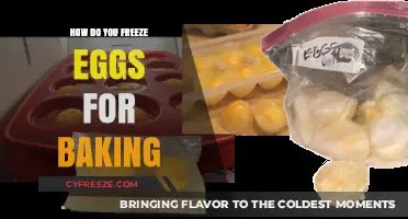 Mastering Egg Freezing: A Simple Guide for Baking Enthusiasts