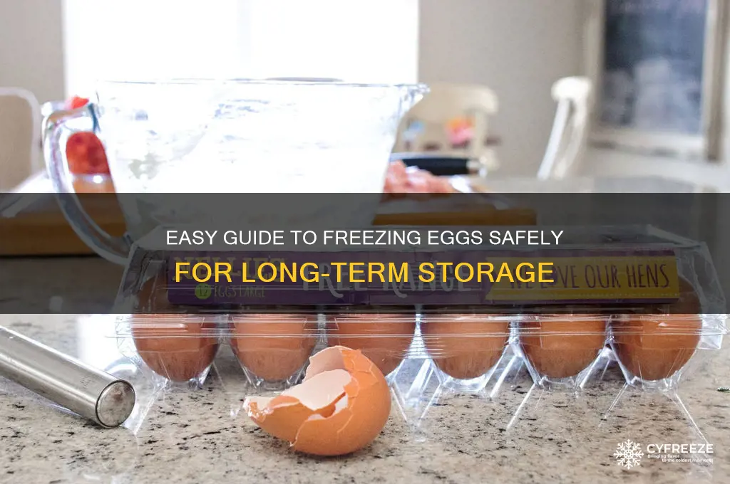 how do you freeze eggs in the freezer
