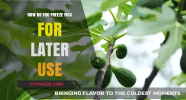 Freeze Figs Perfectly: A Simple Guide for Later Use