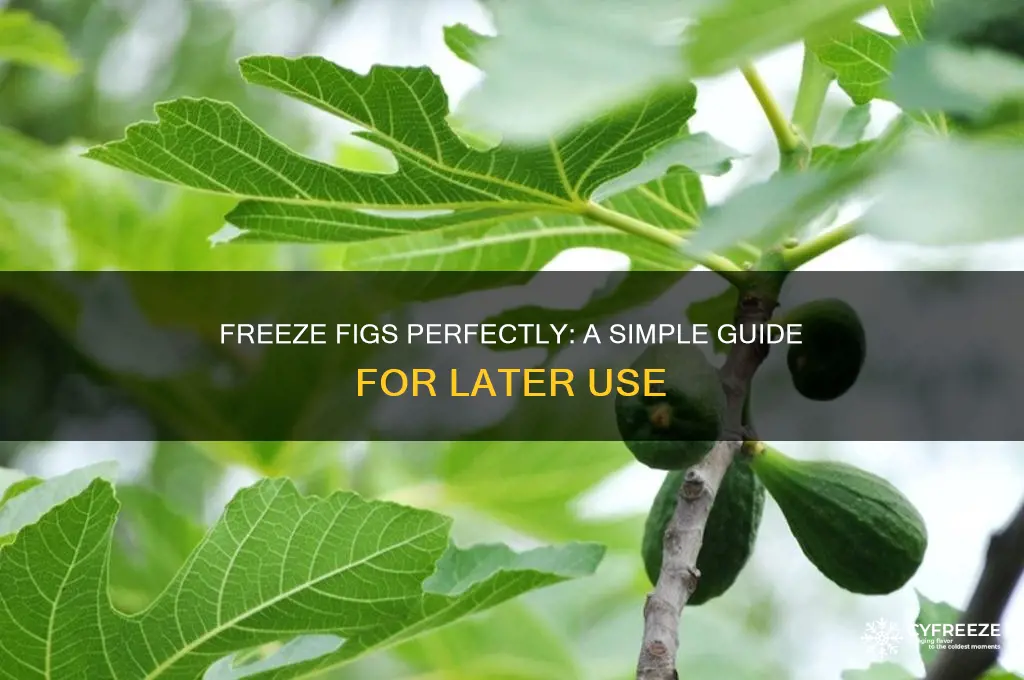 how do you freeze figs for later use