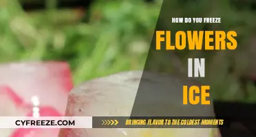 Preserving Beauty: The Art of Freezing Flowers in Ice