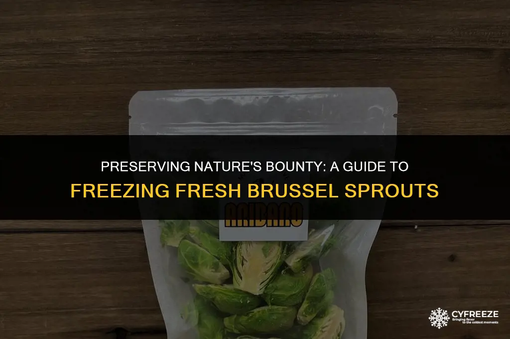 how do you freeze fresh brussel sprouts