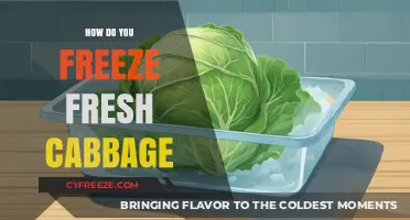 Preserving Crispness: A Guide to Freezing Fresh Cabbage