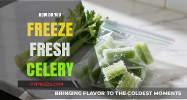 Preserving Crispness: The Ultimate Guide to Freezing Fresh Celery