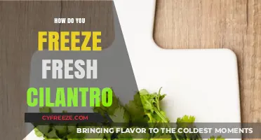 Preserve Freshness: A Simple Guide to Freezing Cilantro