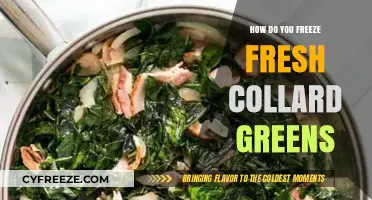 Preserve the Flavor: Freezing Fresh Collard Greens Made Easy