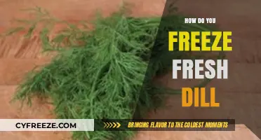 Preserve the Flavor: A Simple Guide to Freezing Fresh Dill