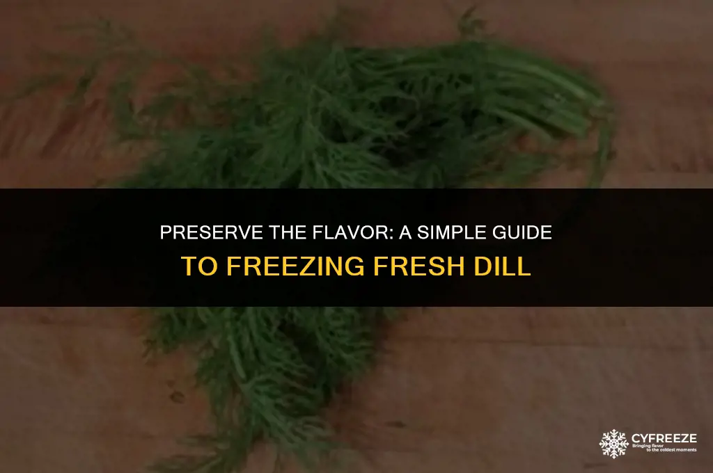 how do you freeze fresh dill