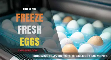 Preserving Freshness: A Simple Guide to Freezing Eggs