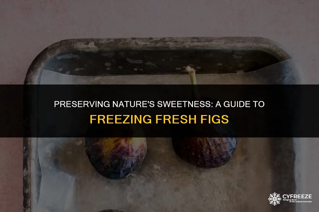 how do you freeze fresh figs