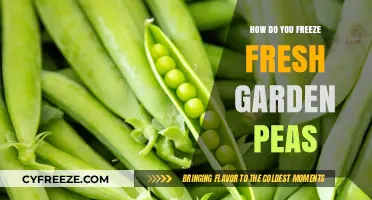 Preserving Nature's Bounty: A Guide to Freezing Fresh Garden Peas