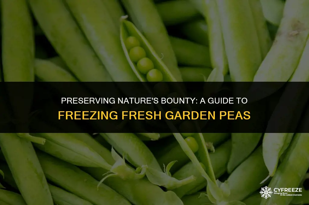how do you freeze fresh garden peas