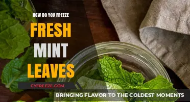 Preserve the Flavor: A Guide to Freezing Fresh Mint Leaves