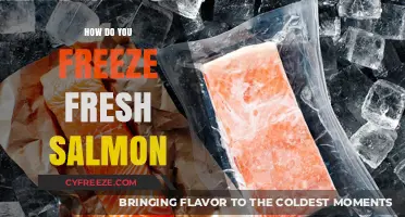 Preserving the Catch: A Guide to Freezing Fresh Salmon