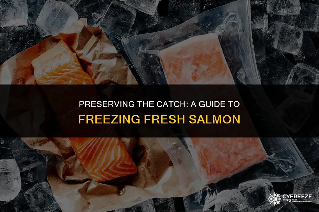how do you freeze fresh salmon