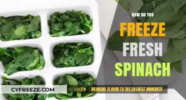 Preserve the Green: A Simple Guide to Freezing Fresh Spinach