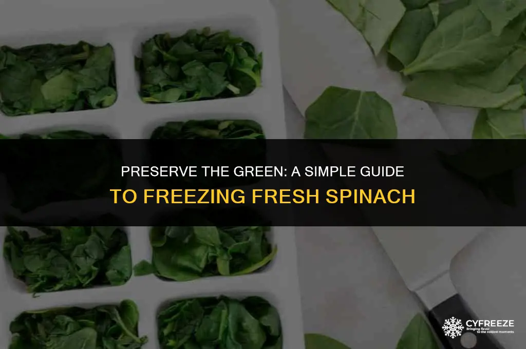 how do you freeze fresh spinach