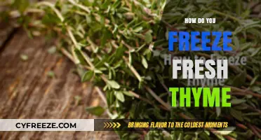 Preserve the Flavor: A Guide to Freezing Fresh Thyme