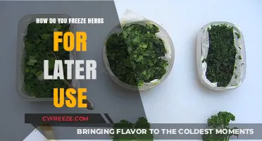 Preserve Fresh Herbs: Simple Freezing Techniques for Long-Lasting Flavor
