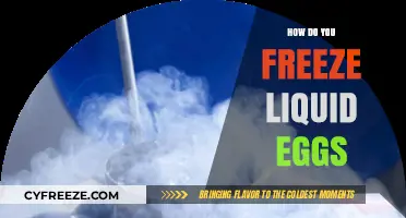Easy Guide to Freezing Liquid Eggs for Long-Term Storage