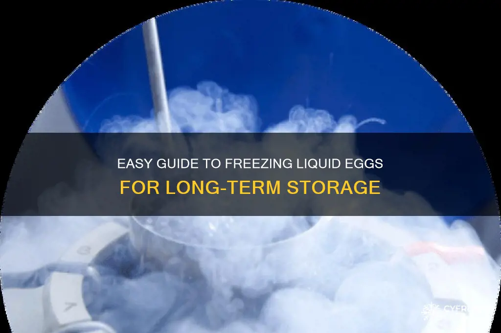 how do you freeze liquid eggs