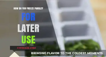 Easy Guide to Freezing Parsley for Fresh Flavor Anytime