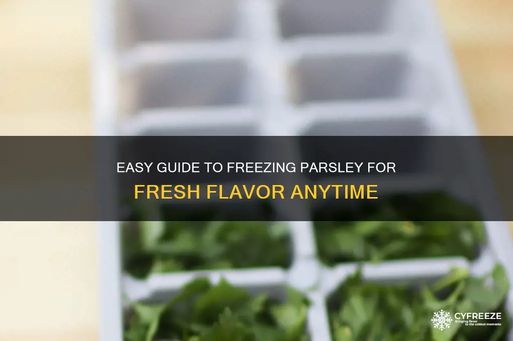 how do you freeze parsley for later use