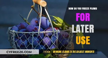 Easy Guide to Freezing Plums for Freshness and Future Enjoyment