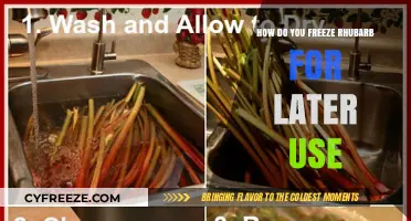 Easy Steps to Freeze Rhubarb for Freshness and Later Use