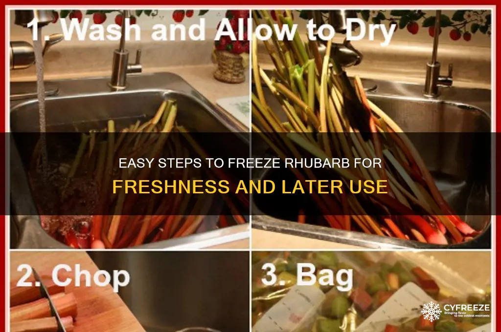 how do you freeze rhubarb for later use