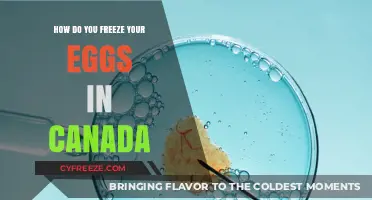 Egg Freezing in Canada: A Comprehensive Guide to Preserving Fertility