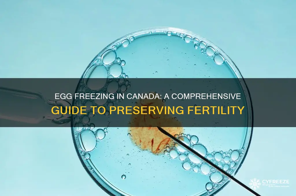 how do you freeze your eggs in canada