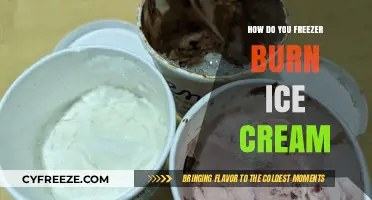 The Scoop on Freezer Burn: Ice Cream's Chilly Enemy