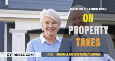 Unlocking Senior Freeze: A Guide to Property Tax Relief for Seniors