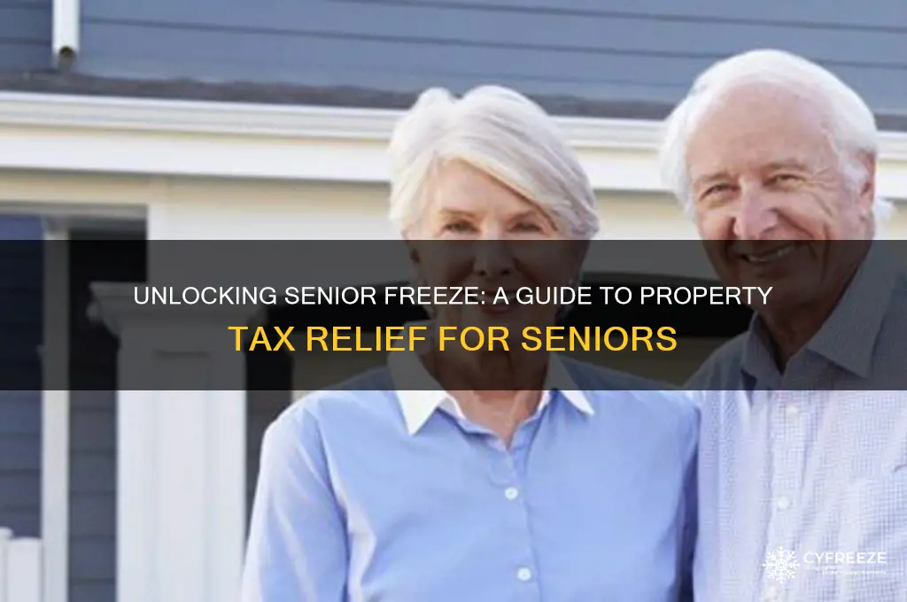how do you get a senior freeze on property taxes